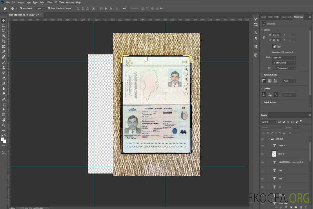 Photolook du passeport danois 2022-présent template
